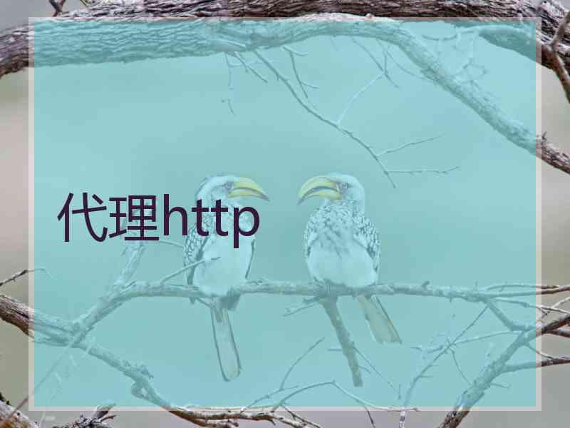 代理http